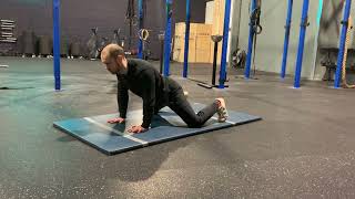 Frog rocks demonstration